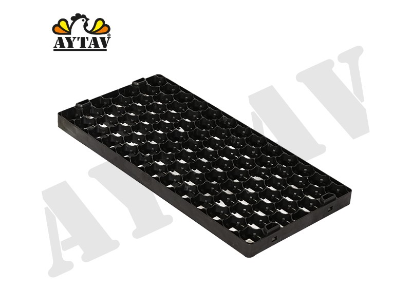 GELİŞİM VİYOLÜ (88 LİK)