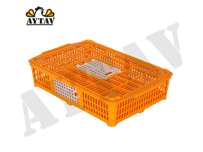ÜSTTEN VE YANDAN AÇILIMLI BILDIRCIN VE KEKLİK KAFESİ
