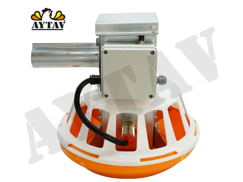 FİLELİ HAT SONU YEMLİĞİ