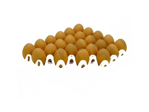 JUMBO PLASTİK VİYOL 30'LU