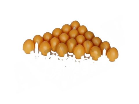 CİVCİV GELİŞİM VİYOLÜ (36 LIK)