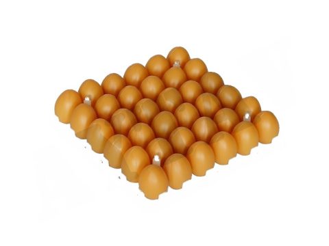 CİVCİV GELİŞİM VİYOLÜ (36 LIK)