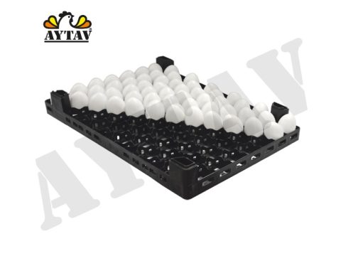 GELİŞİM VİYOLÜ (84'LÜK)