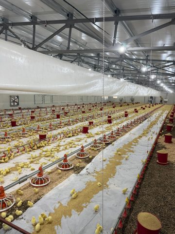 Kahramanmaraş Türkoğlu Broyler Kümes Projesi