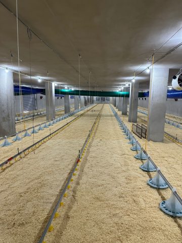 Adana Karaisalı Broyler Kümes Projesi